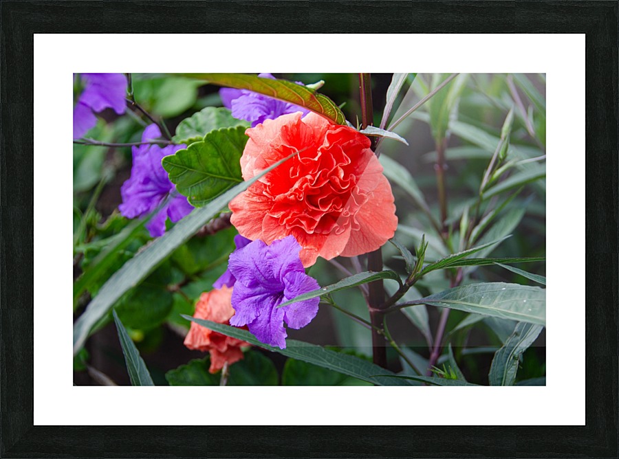 Blended Picture Frame print