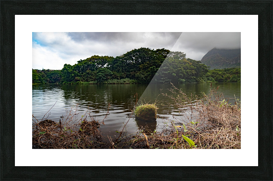 Lake View 2020 Picture Frame print