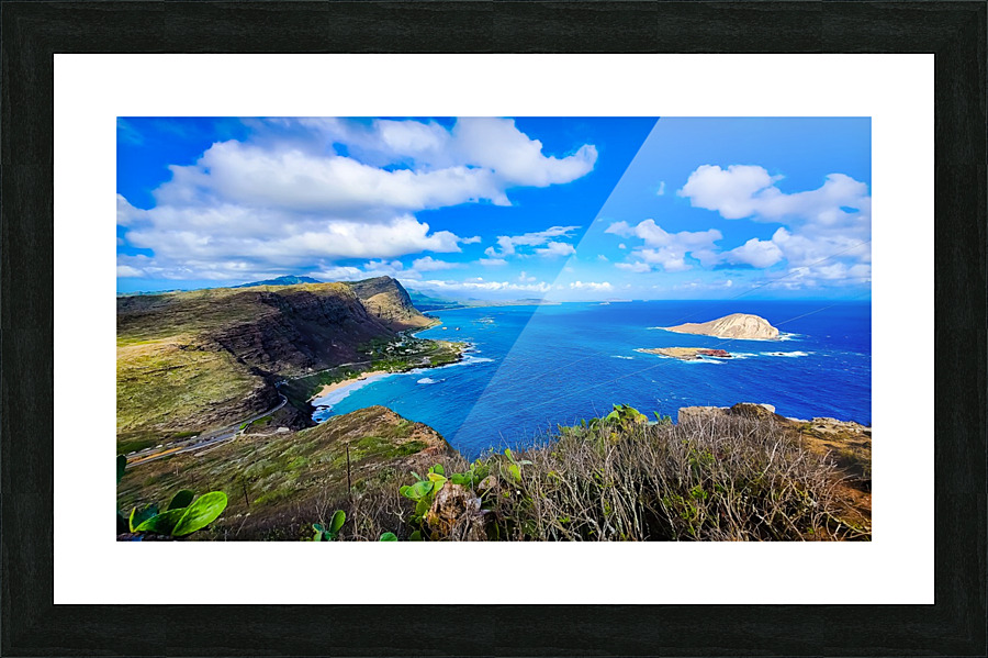Makapuu view 2020 Picture Frame print