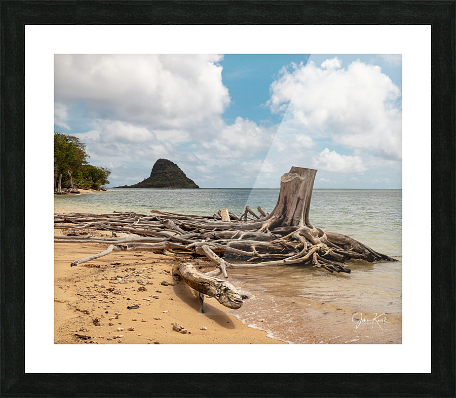 Nature imitating Nature 2021 Picture Frame print