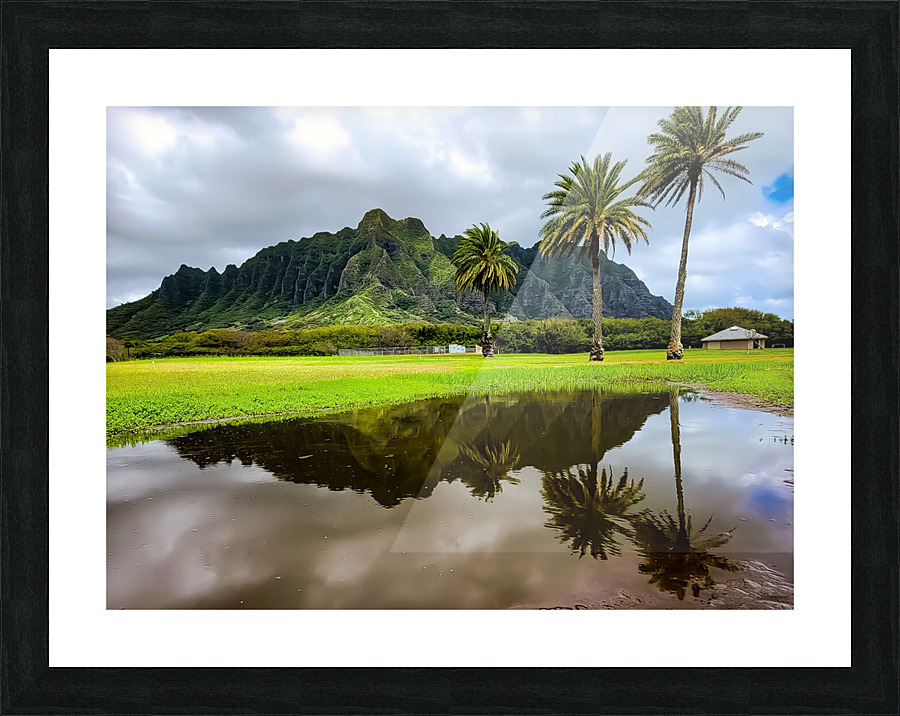 Kualoa 2021 Picture Frame print