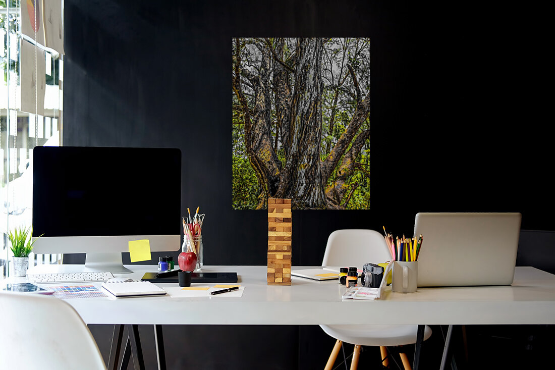 Wisdom tree 2020 Reproduction