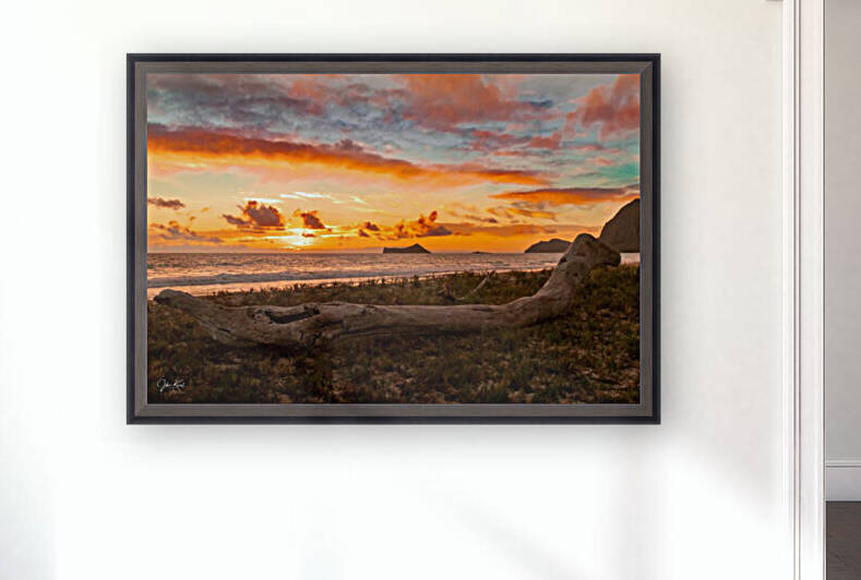 Fire in the sky Reproduction