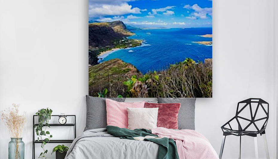 Makapuu view 2020 Reproduction