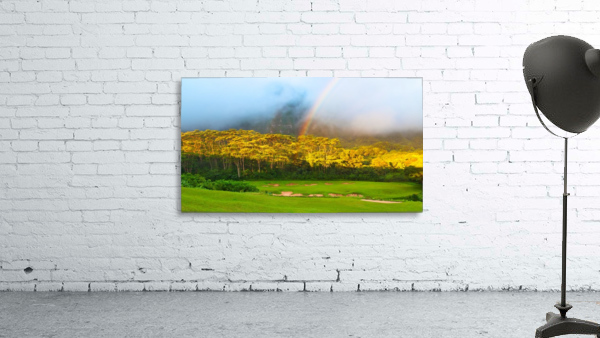 Golden Hole Wall Preview