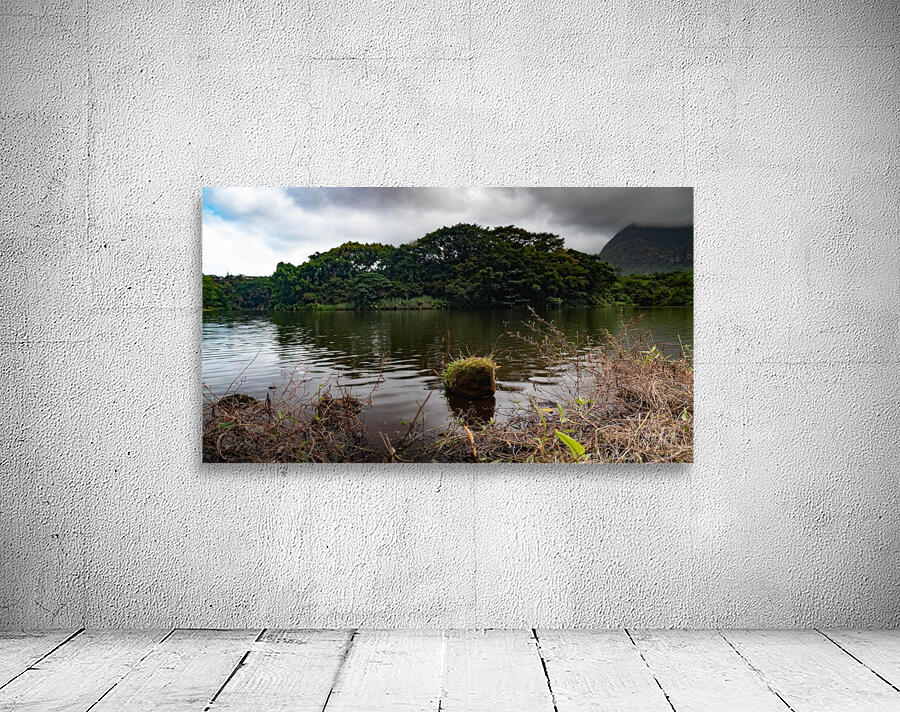 Lake View 2020 Wall Preview