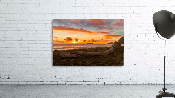 Fire in the sky Wall Preview