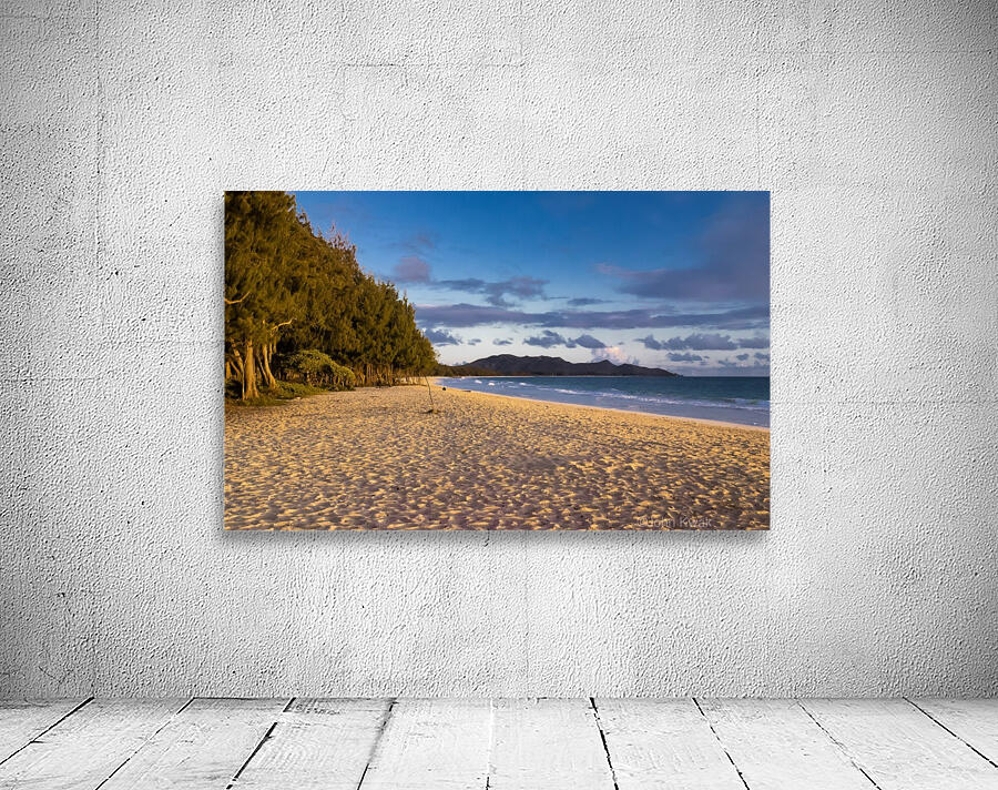 Private Beach 2020 Wall Preview