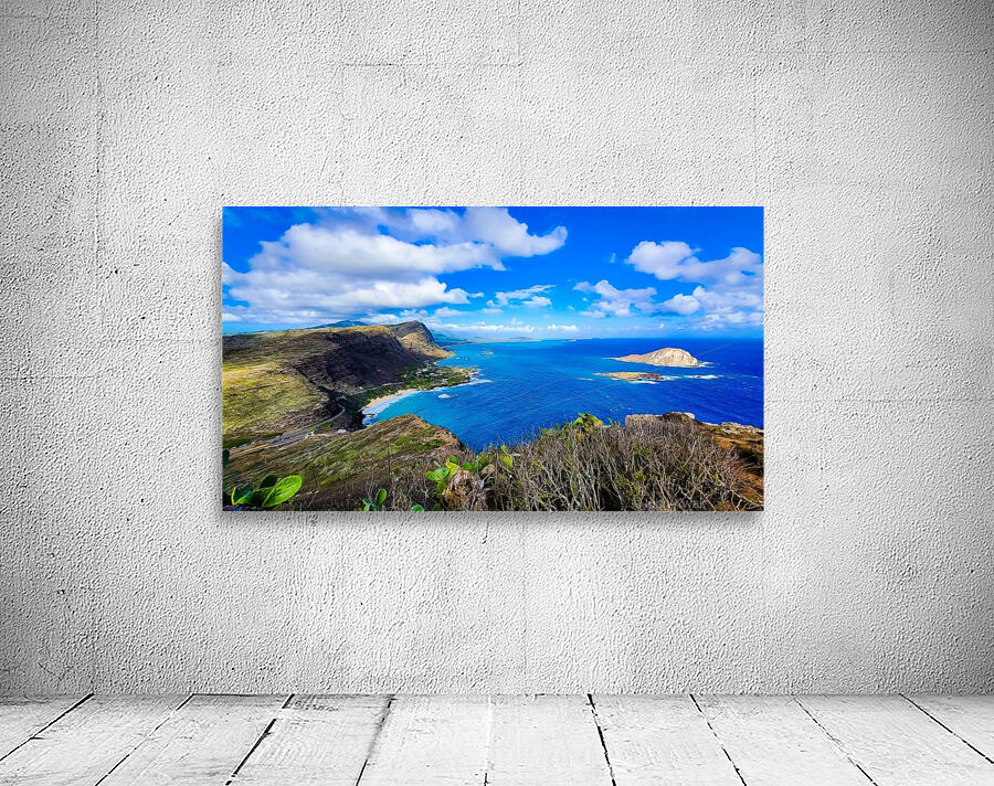 Makapuu view 2020 Wall Preview