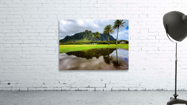 Kualoa 2021 Wall Preview