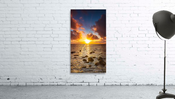 Morning Light - 2021 Wall Preview