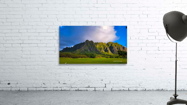Koolau - 2021 Wall Preview
