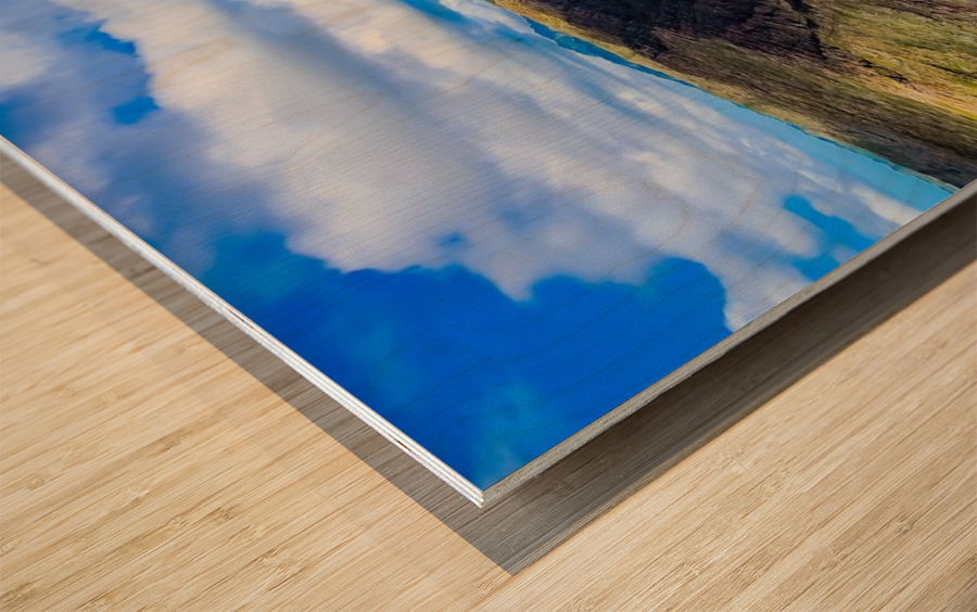 Makapuu view 2020 Wood print