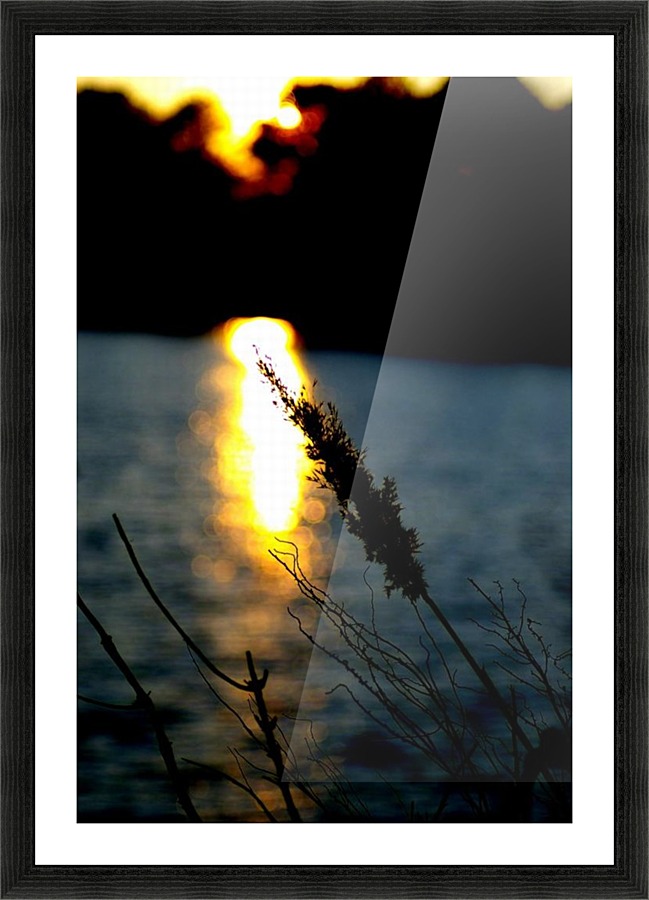 Sunlight Picture Frame print