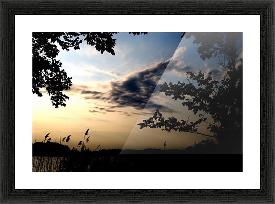 Deer In The Sky Picture Frame print