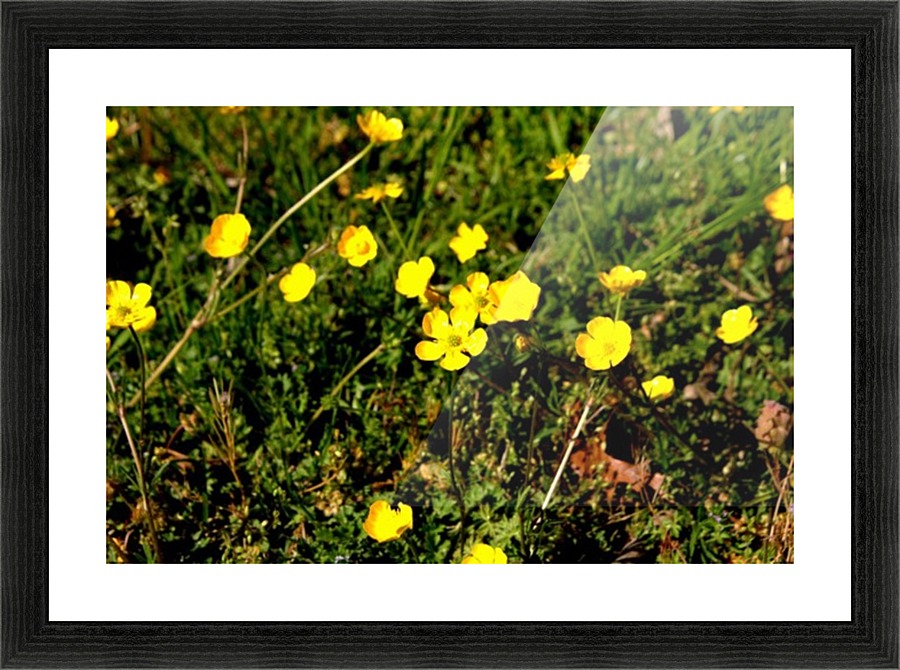Yellow Picture Frame print