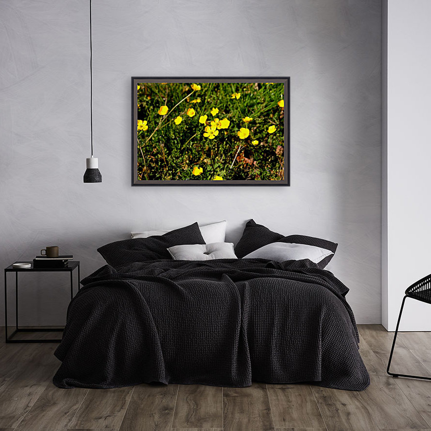 Yellow Reproduction