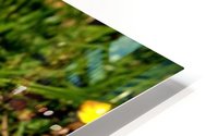 Yellow HD Metal print