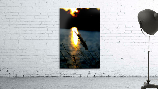 Sunlight Wall Preview
