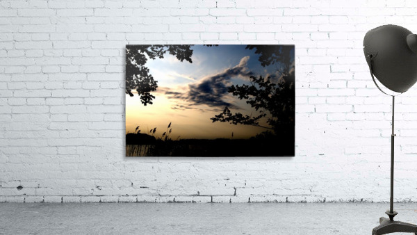 Deer In The Sky Wall Preview