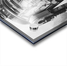 The Trusted Friend Acrylic print