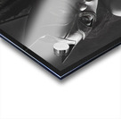 Legacys Luster Acrylic print