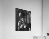 Legacys Luster Acrylic Print