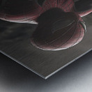 Masked Vigilance Metal print