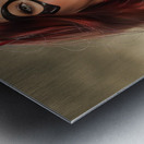 Argent Archer Metal print