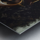 Heroes Among Us 4 Metal print