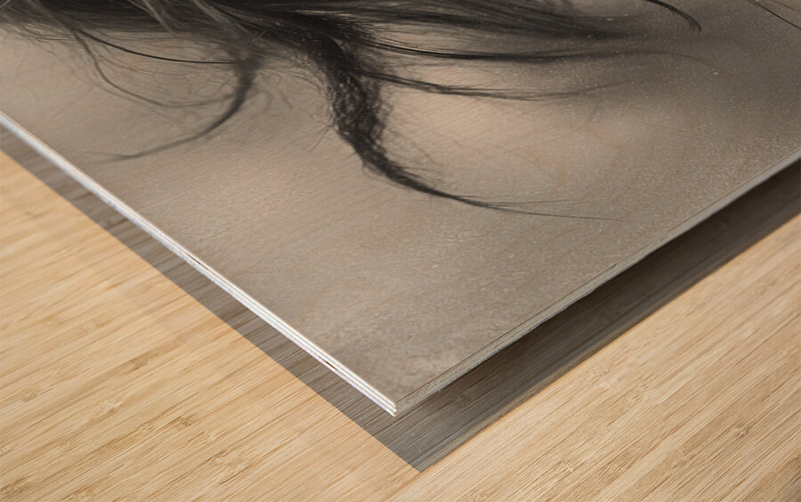 InfiniteCanvasAiInfiniteCanvasAi 591111 standard Wood print