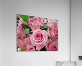 Rose Garden Acrylic Print