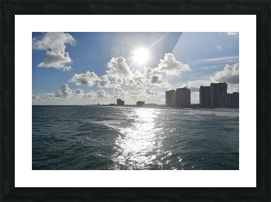 Sight Seeing in Florida Picture Frame print