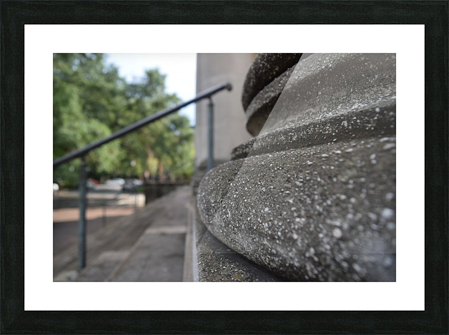 Savannah Up close Picture Frame print