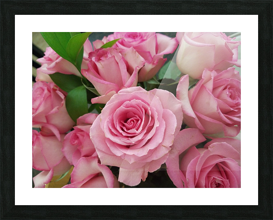 Rose Garden Picture Frame print