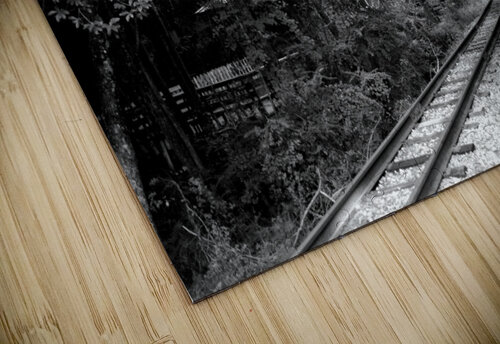 Georgia Crossing Emily Johnson puzzle