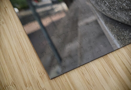 Savannah Up close Emily Johnson puzzle