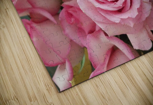 Rose Garden Emily Johnson puzzle