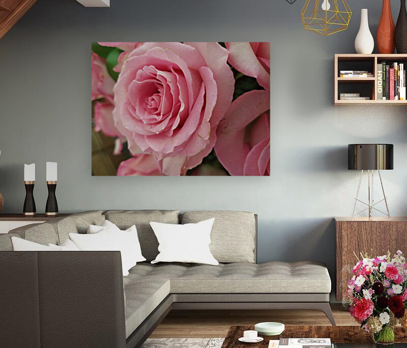 Pink Rose Reproduction