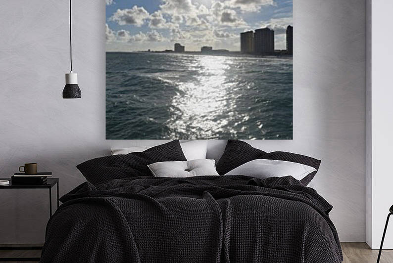 Sight Seeing in Florida by Emily Johnson