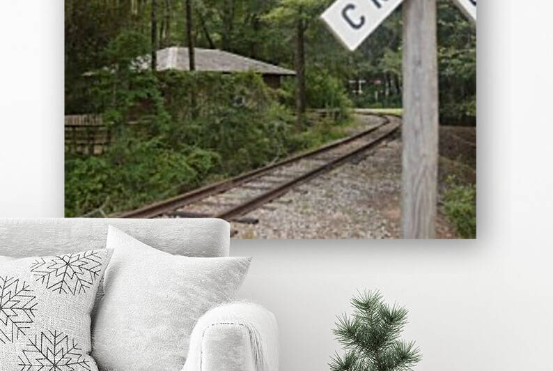 Georgia Crossing - Color by Emily Johnson