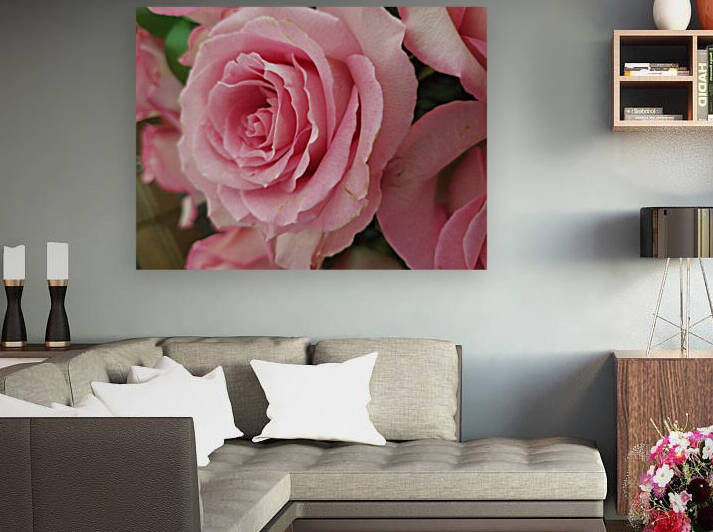 Pink Rose by Emily Johnson