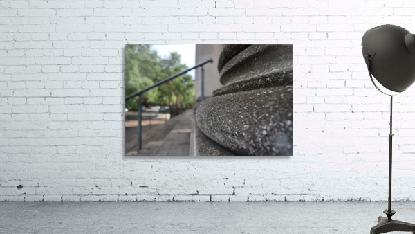 Savannah Up close Wall Preview