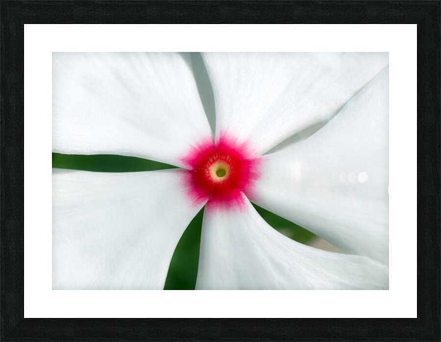 Calque 1 Picture Frame print