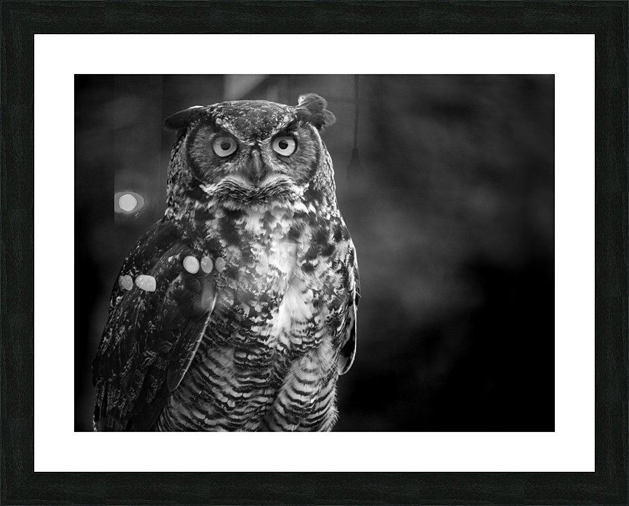 Mystique Picture Frame print