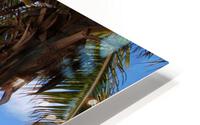 Beautiful Bahamas HD Metal print