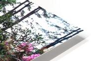 Rhododendron HD Metal print