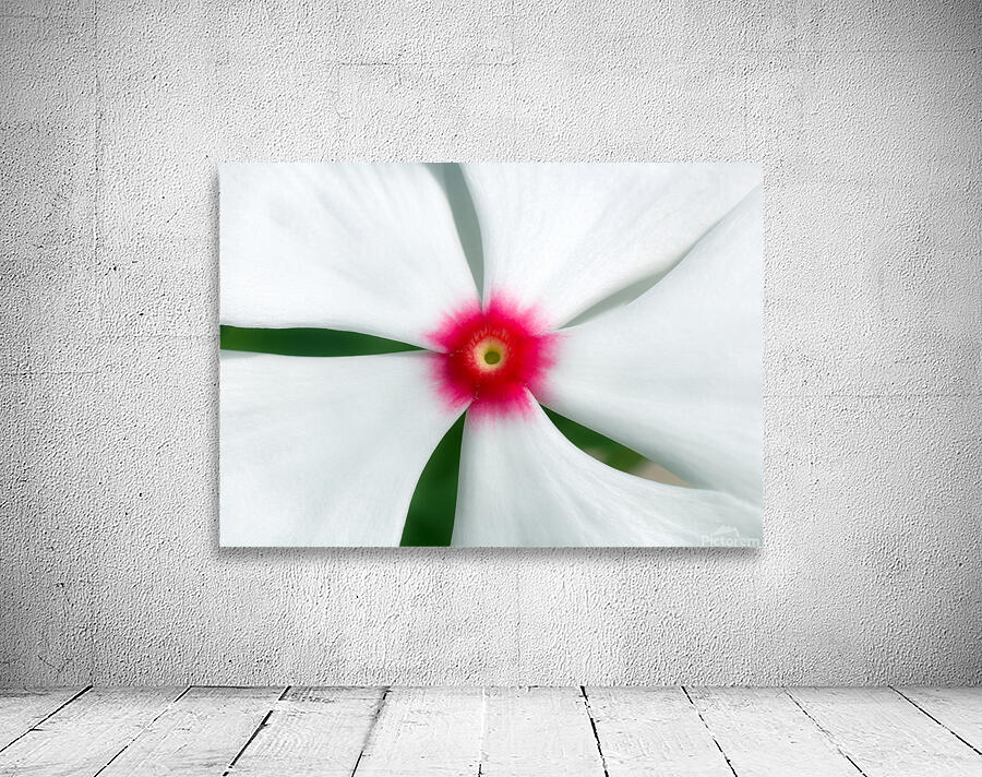 Calque 1 Wall Preview
