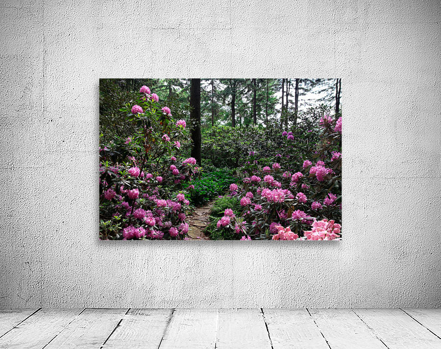 Rhododendron Wall Preview