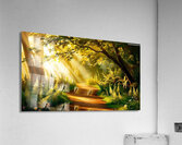 The path to the light 1 Acrylic Print